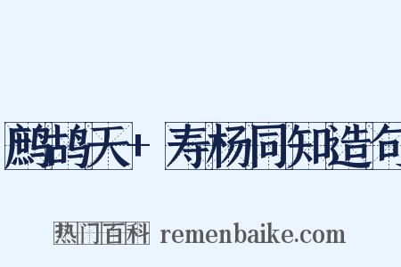 鹧鸪天+寿杨同知造句是什么意思的图片